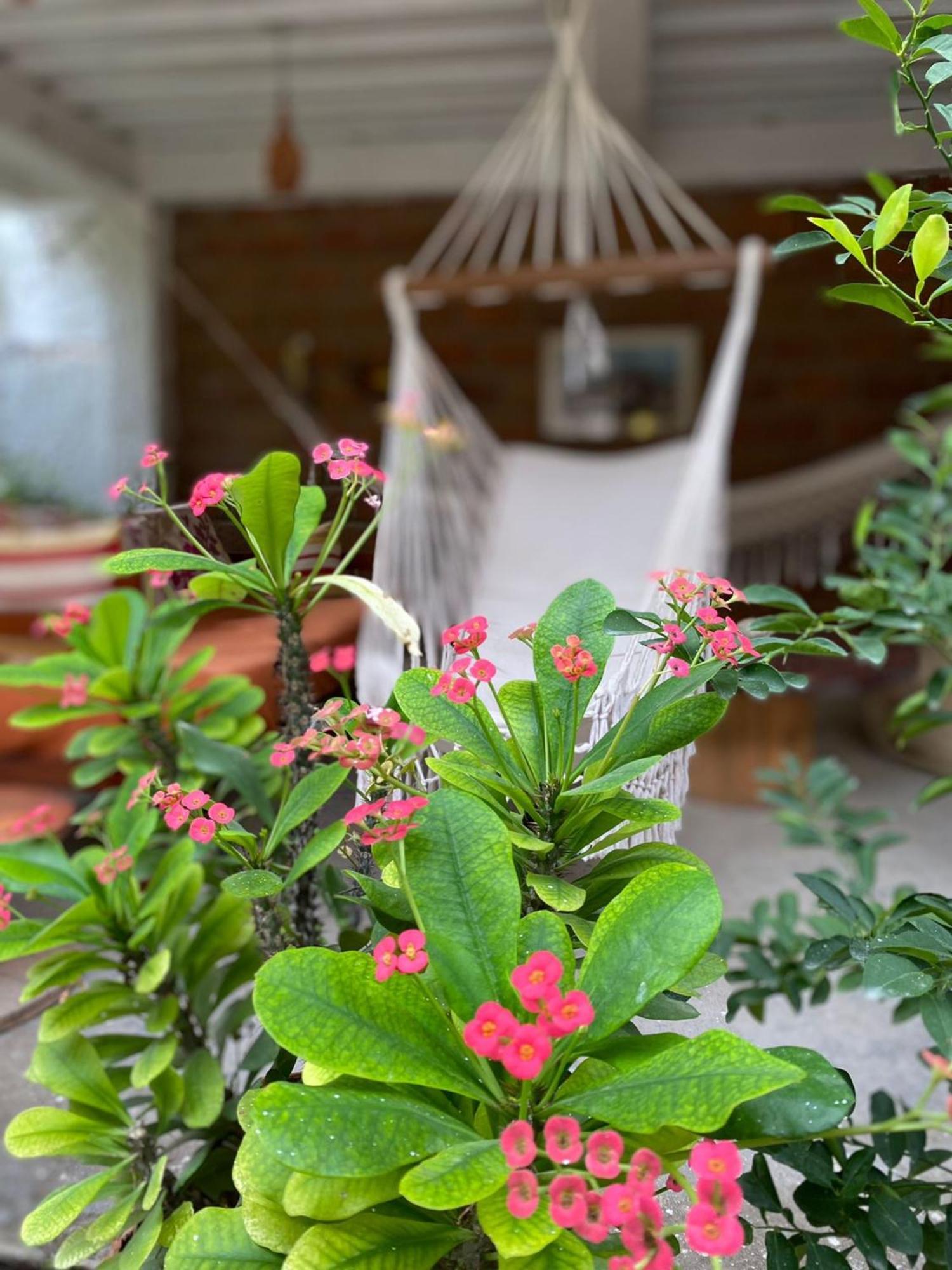 فندق Casa Tara تاجانجا المظهر الخارجي الصورة